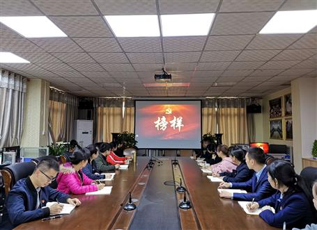 向榜樣看齊，做合格黨員