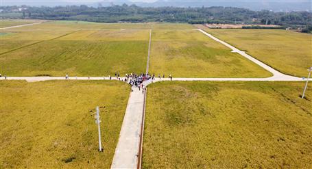 全區(qū)500多技術人員來觀摩這個項目