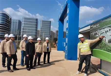 蒙勝益到冶建桂南分公司項目開展安全生產(chǎn)質量大檢查