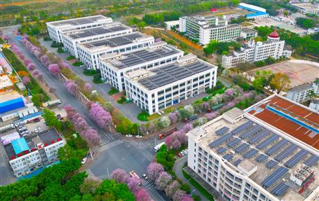 【實(shí)干筑夢(mèng)·競(jìng)賽爭(zhēng)鋒】冶建基礎(chǔ)分公司一光伏發(fā)電項(xiàng)目順利通過竣工驗(yàn)收